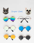 Super Cool Pet Glasses