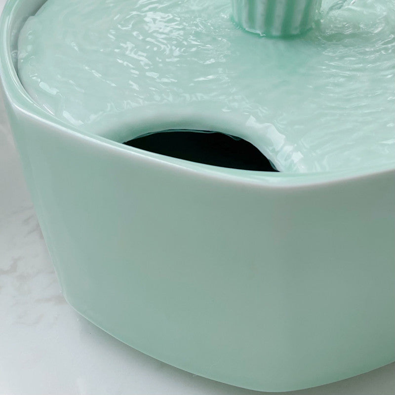 Happy & Polly Online Pet Store | Cat Bowls, Toys, Trees & Supplies