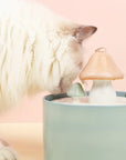 automatic cat water fountain