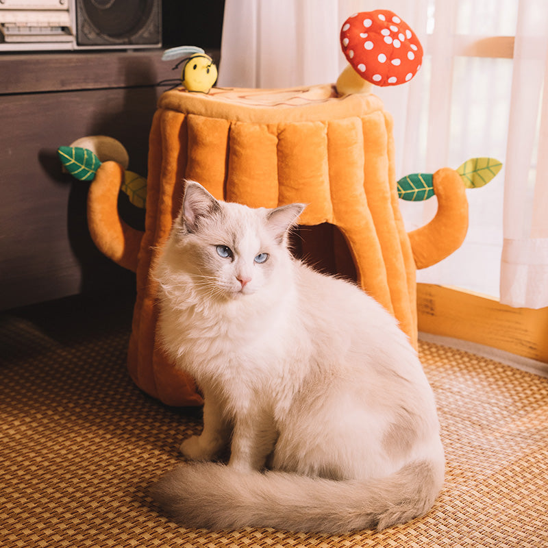 cat with Tree-shaped cat bed