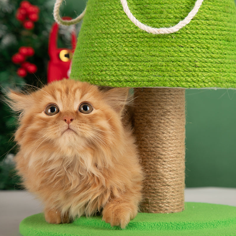 Kitten playing next to the Christmas Tree Cat Scratcher, emphasizing its suitability for all ages.