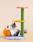 A cat playing with the orange scratching ball on the Flower Design Cat Tree.