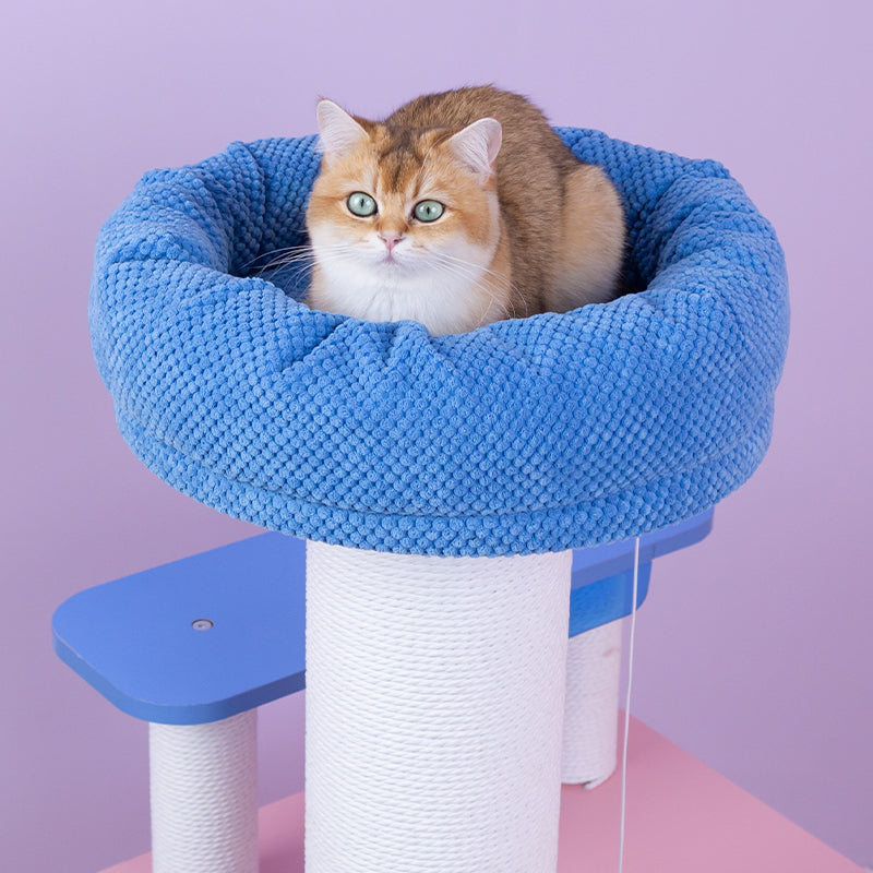 MoraSky Cat Tree top perch detail – soft and comfortable perch for lounging cats.