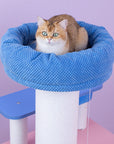 MoraSky Cat Tree top perch detail – soft and comfortable perch for lounging cats.