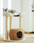 A Ragdoll cat lounging on the Zen Style Rattan Cat Tree in the living room.