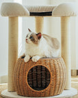 Ragdoll cat on the woven nest of the Zen Style Rattan Cat Tree.