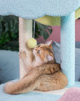 A cat playing with the hanging toy on the Starry Sky Cat Tree