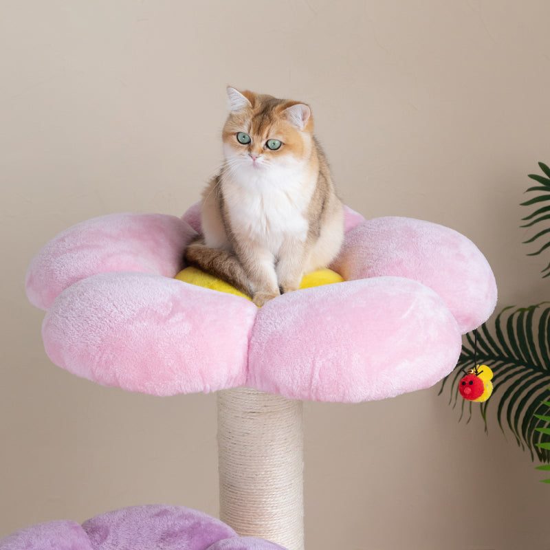 Three Flower Cat Tree Happy Polly