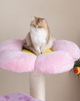 A cat sitting on the pink platform of the Three Flower Cat Tree