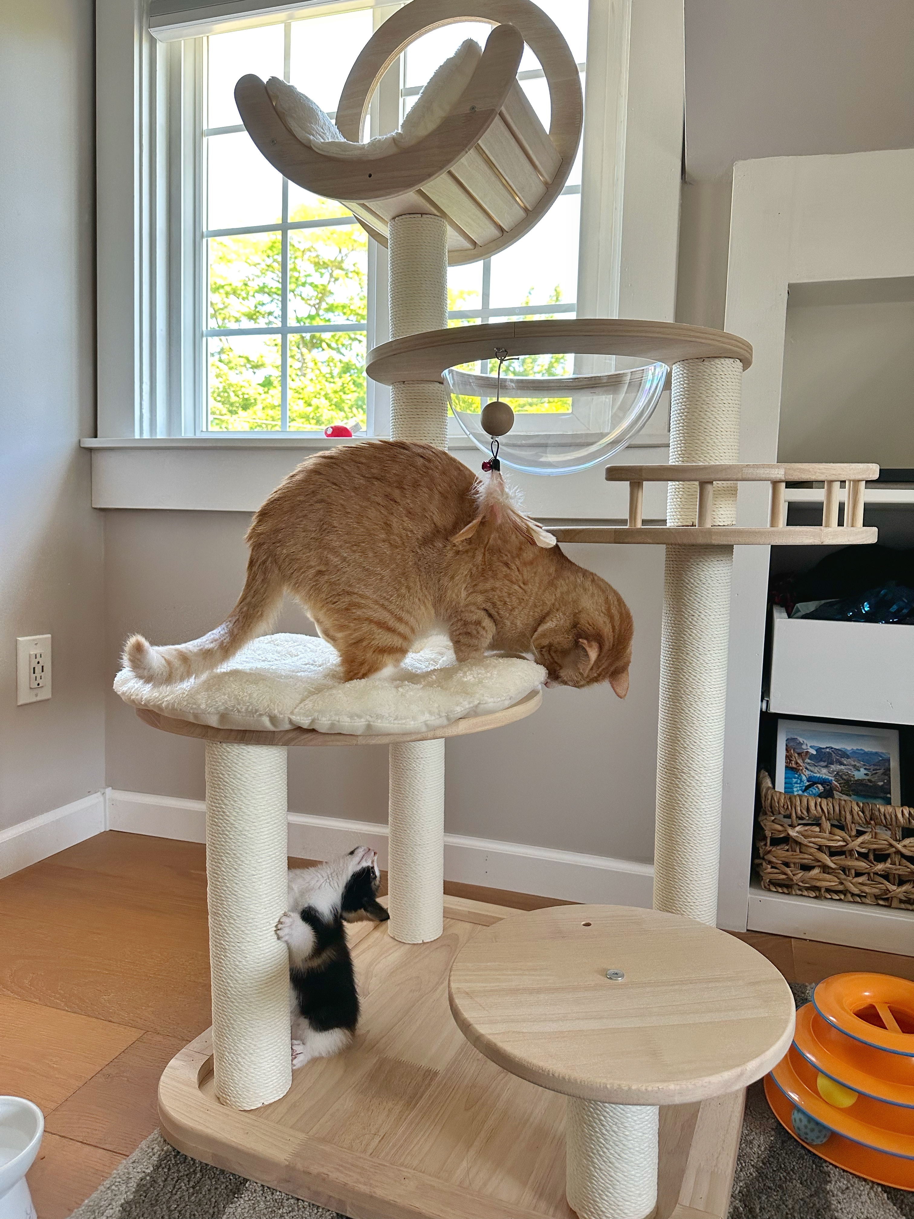 Building Block Cat Tree Happy & Polly